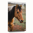 Rustic Farmhouse Art - Close-Up Horse Portrait for Rustic Wall Decor