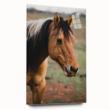 Rustic Farmhouse Art - Close-Up Horse Portrait for Rustic Wall Decor