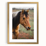 Rustic Farmhouse Art - Close-Up Horse Portrait for Rustic Wall Decor