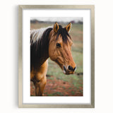 Rustic Farmhouse Art - Close-Up Horse Portrait for Rustic Wall Decor