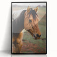 Rustic Farmhouse Art - Close-Up Horse Portrait for Rustic Wall Decor