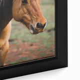 Rustic Farmhouse Art - Close-Up Horse Portrait for Rustic Wall Decor