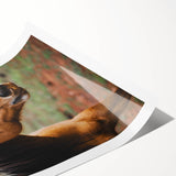 Rustic Farmhouse Art - Close-Up Horse Portrait for Rustic Wall Decor