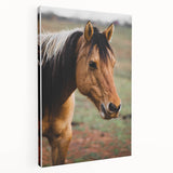 Rustic Farmhouse Art - Close-Up Horse Portrait for Rustic Wall Decor