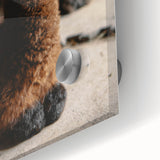 Rustic Farmhouse Wall Art: Adorable Alpaca in Barn Setting