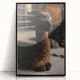 Rustic Farmhouse Wall Art: Adorable Alpaca in Barn Setting