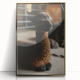 Rustic Farmhouse Wall Art: Adorable Alpaca in Barn Setting