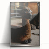 Rustic Farmhouse Wall Art: Adorable Alpaca in Barn Setting