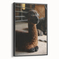 Rustic Farmhouse Wall Art: Adorable Alpaca in Barn Setting
