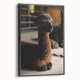 Rustic Farmhouse Wall Art: Adorable Alpaca in Barn Setting