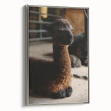 Rustic Farmhouse Wall Art: Adorable Alpaca in Barn Setting