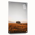 Rustic Landscape Wall Art - Abandoned Farmhouse in Golden Field