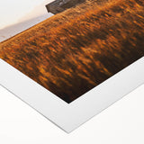 Rustic Landscape Wall Art - Abandoned Farmhouse in Golden Field