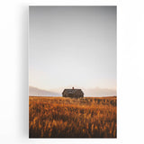 Rustic Landscape Wall Art - Abandoned Farmhouse in Golden Field