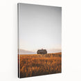 Rustic Landscape Wall Art - Abandoned Farmhouse in Golden Field