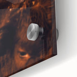 Rustic Farm Animal Wall Art - Close-Up Brown Calf for Farmhouse Decor