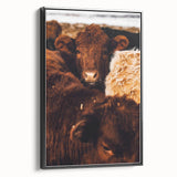 Rustic Farm Animal Wall Art - Close-Up Brown Calf for Farmhouse Decor