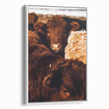 Rustic Farm Animal Wall Art - Close-Up Brown Calf for Farmhouse Decor