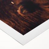 Rustic Farm Animal Wall Art - Close-Up Brown Calf for Farmhouse Decor