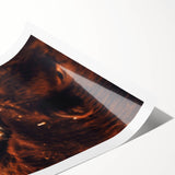 Rustic Farm Animal Wall Art - Close-Up Brown Calf for Farmhouse Decor