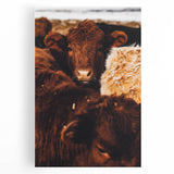 Rustic Farm Animal Wall Art - Close-Up Brown Calf for Farmhouse Decor