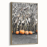 Rustic Fall Wall Art - Pumpkins and Cornstalks for Farmhouse Decor