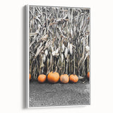 Rustic Fall Wall Art - Pumpkins and Cornstalks for Farmhouse Decor