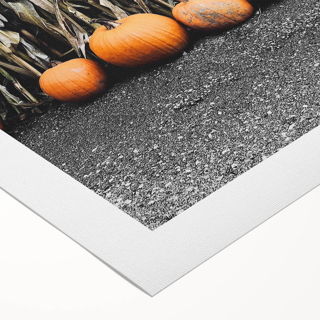 Rustic Fall Wall Art - Pumpkins and Cornstalks for Farmhouse Decor