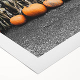 Rustic Fall Wall Art - Pumpkins and Cornstalks for Farmhouse Decor