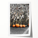 Rustic Fall Wall Art - Pumpkins and Cornstalks for Farmhouse Decor