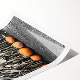 Rustic Fall Wall Art - Pumpkins and Cornstalks for Farmhouse Decor