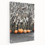 Rustic Fall Wall Art - Pumpkins and Cornstalks for Farmhouse Decor