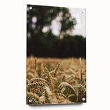 Rustic Wheat Field Wall Art - Nature-Inspired Farmhouse Decor