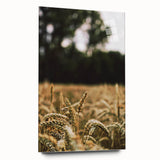 Rustic Wheat Field Wall Art - Nature-Inspired Farmhouse Decor