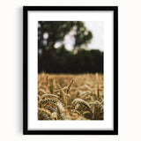 Rustic Wheat Field Wall Art - Nature-Inspired Farmhouse Decor