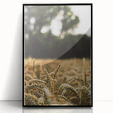 Rustic Wheat Field Wall Art - Nature-Inspired Farmhouse Decor