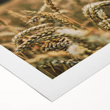 Rustic Wheat Field Wall Art - Nature-Inspired Farmhouse Decor