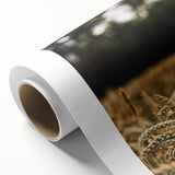 Rustic Wheat Field Wall Art - Nature-Inspired Farmhouse Decor