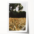 Rustic Wheat Field Wall Art - Nature-Inspired Farmhouse Decor