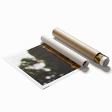 Rustic Wheat Field Wall Art - Nature-Inspired Farmhouse Decor