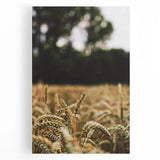 Rustic Wheat Field Wall Art - Nature-Inspired Farmhouse Decor