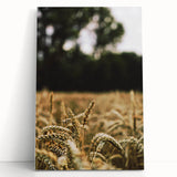 Rustic Wheat Field Wall Art - Nature-Inspired Farmhouse Decor