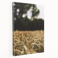 Rustic Wheat Field Wall Art - Nature-Inspired Farmhouse Decor