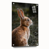 Rustic Bunny Wall Art – Farmhouse Decor with Natural Wildlife Charm