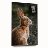 Rustic Bunny Wall Art – Farmhouse Decor with Natural Wildlife Charm