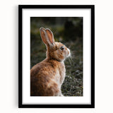 Rustic Bunny Wall Art – Farmhouse Decor with Natural Wildlife Charm