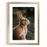 Rustic Bunny Wall Art – Farmhouse Decor with Natural Wildlife Charm