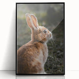 Rustic Bunny Wall Art – Farmhouse Decor with Natural Wildlife Charm