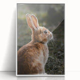 Rustic Bunny Wall Art – Farmhouse Decor with Natural Wildlife Charm