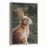 Rustic Bunny Wall Art – Farmhouse Decor with Natural Wildlife Charm